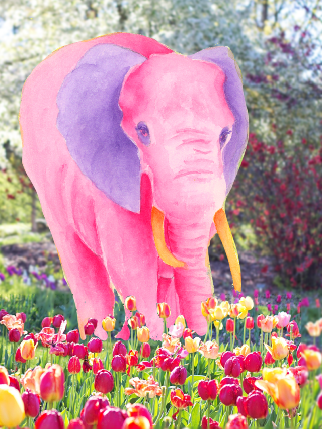 Mingo Rose in the Garden